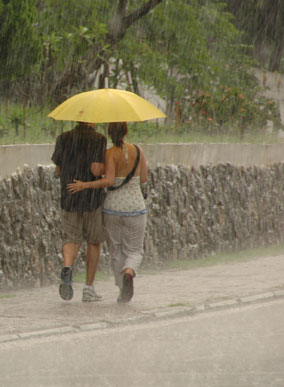 Sharing an umbrella.... - Sharing an umbrella with loved ones is a wonderful experience, ever got a chance to do it?