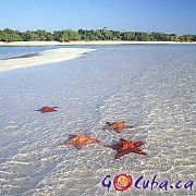 Go Cuba - Picture of Cuba