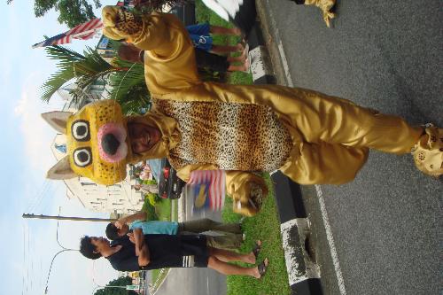 The festival of the Cat City-Kuching - Yes, the representative of the Cat City- Kuching which is located in Sarawak,Malaysia.The very July of every year is the  month of festival for Kuching city.
