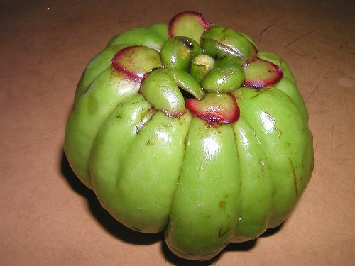 asam fruit - Asam fruit is a kind of popular local fruit which is very sour. People here use it in cooking delicious dishes.