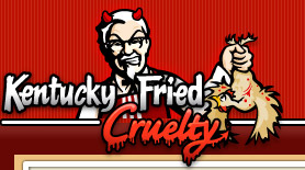 KFC Cruelty - Just a picture of what it is really like for the chickens before going in your stomach.