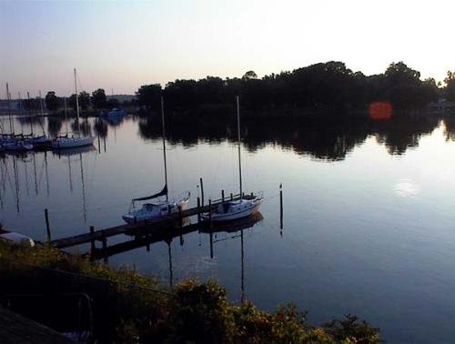 Dark Head Creek - Off my deck