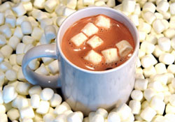 Hot Chocolate! - A mug of hot chocolate with marshmallows!