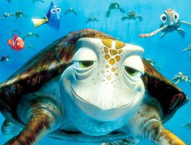 Finding Nemo cover - sea turtles!