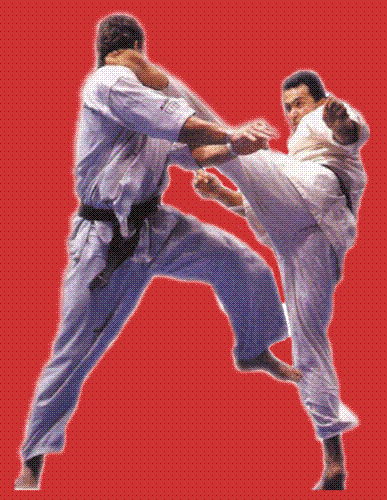 Karate - A karatist's kick