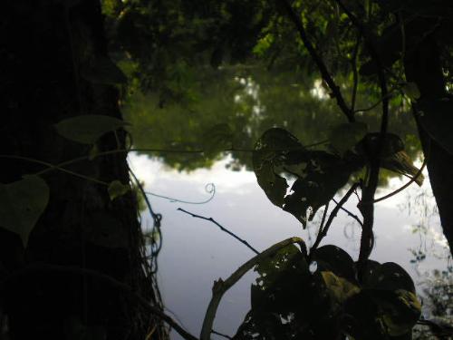 The silence of green reflection - This photo expresses the silence of nature and its reflection provides a touch of spiritual experience!