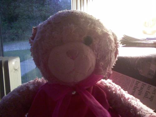 Princess the pink bear - She is the constant companion to my six year old. Weathered but still an adorable friend.