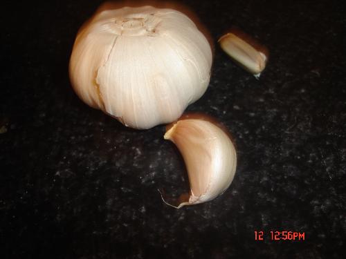 garlic - garlic on the cabinet