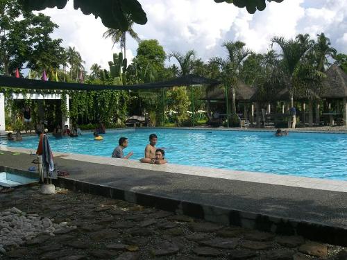 swimming - swimming with officemates