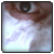 My Avatar - This is my avatar. Simple