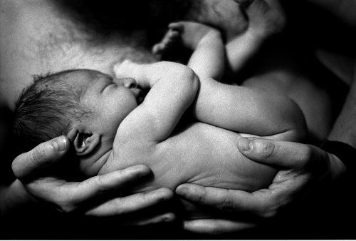 Pregnancy - Pregnancy Love