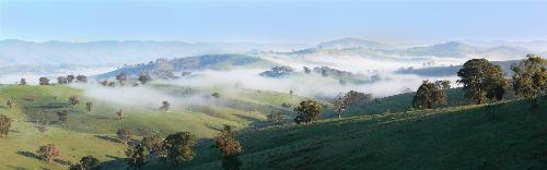Misty - A misty morning in Ensay/Swifts Creek region in Australia.