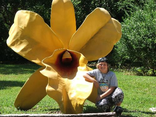 My son and a bid orchid... - This i my son icholas 'posing' next to a big Orchid at Selby Gardens, here in Sarasota.