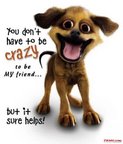 crazy - crazy kiya re
