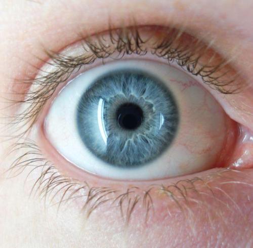 blue eye color - this is a blue eye color of a person, i like it.
