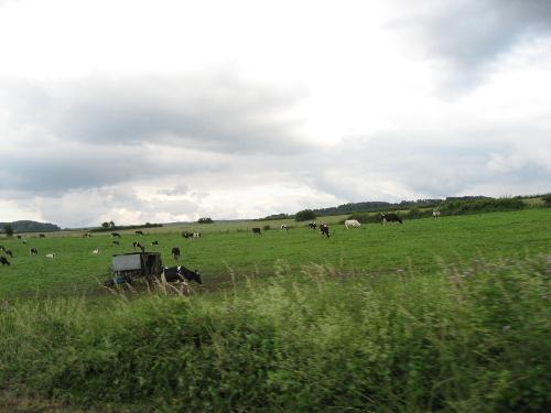 country side - A beautiful country side, is really a nice place to live. You will not find a lot or air pollution like in the other big and busy city. Look at this picture. So beautiful,isn&#039;t it?