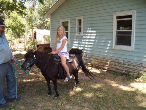 Bethanie on Pokey - My daughter had driven me to my friend's house in Littleton, Iowa here my grandduaghter and grandson rode of the mini horses (Pokey). Bethanie liked riding with the saddle than bareback.