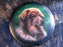 beautyful dog - this is a very nice dog