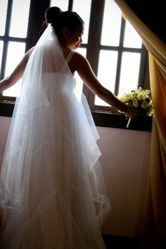 bride - my wedding. the stunning bride before the ceremony