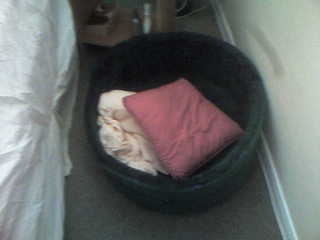 My Bed - My nice Bed smelling of yuk Lavender and I normally have 2 Cushions but one was in the Wash