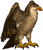 Stronghold creatures - Roc - Roc	Health: 60	Attack: 13	Shots: none	Movement: flying 600 gold (3)	Hex size: 2	Defence: 11	Dmg: 11-15	Speed: 7 (extra swift) Let's roc! A nice level 5 unit with higher hit points than most. Roc is also very balanced, having no weak sides such as damage range or low defence. Use them for whatever purpose, but being the only stronghold flyers they often die alone in the enemy crowd.