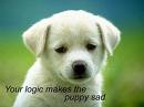 dog feeling sad... - dont feel sad..