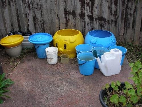 My Water Catchment - My little water catchment area for my Vegie pots.