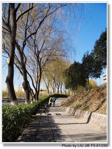 my university - beyond the lake in my university the lake named Longhu Lake.