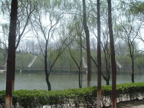 my university - beyond the lake