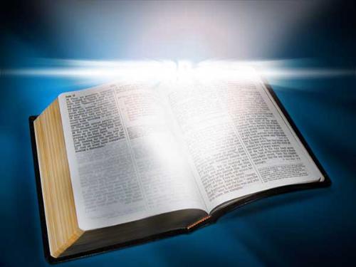 Bible - The Bible