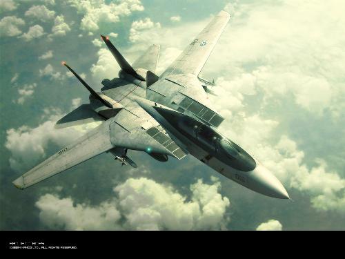 ace combat - the f 14 tomcat, one the sexiest looking fighter planes that rules the skies :D  a wallpaper from ace combat