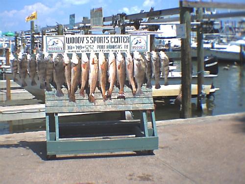 Our catch - This was our catch for the day. 8 redfish and 10 black drum. Total weight 110 pounds!

Port Aransas, TX 9/14/07