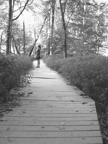 Alone - I took this picture of my sister in law standing out in the middle of the woods. I just think it looks neat.