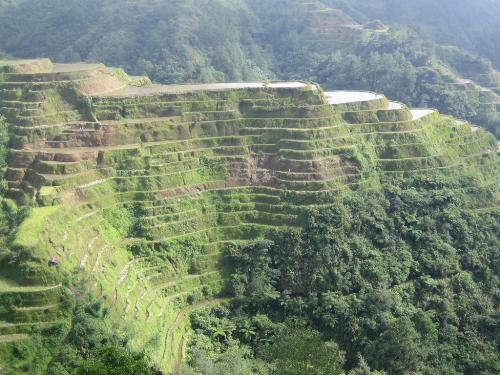 Rice Terraces - The famous rice terraces as captured by our own camera last year.