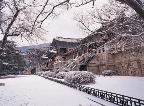 snow at korea - i like to visit korea someday.