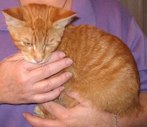 not such a great pix of him - we took 3 pix, so you get to see all of them