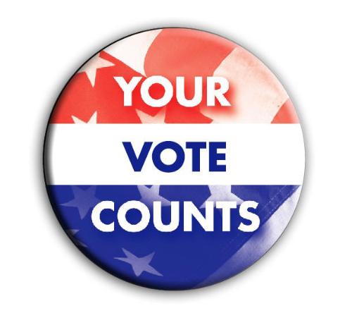 politics - election in government