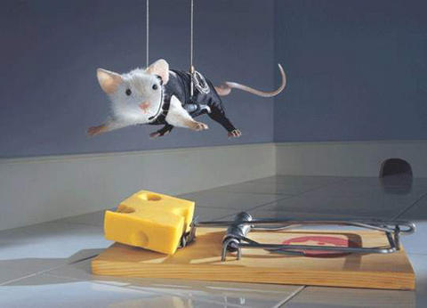 mouse mission impossible scence - a cool mouse doing a strange act
