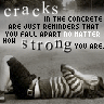 survival=strength - true beauty exists in the people who live through life's ugliness