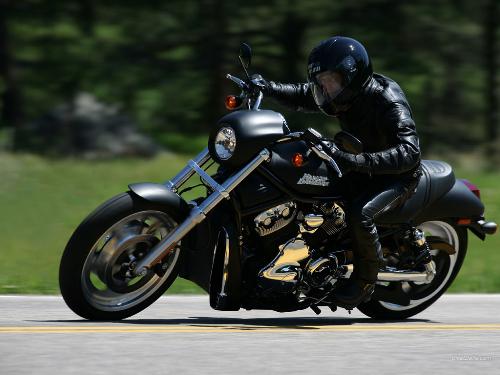 harley davidson - Harley Davidson