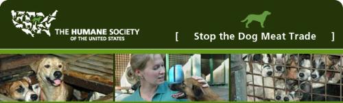 Image of banner from Humane Society and Dog Rescue - Humane Society photo