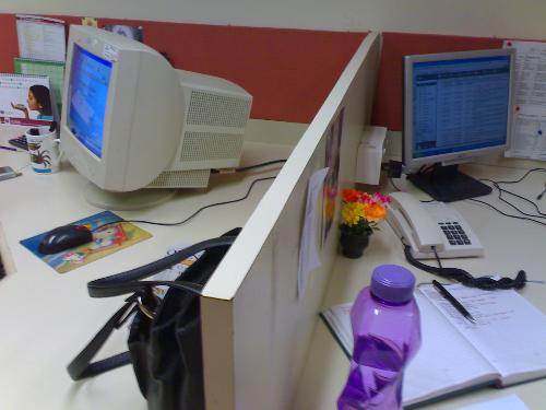 the work place - njoying the wrk
