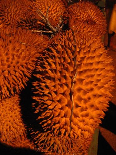 durian  - In Philippines, durian is a fruit found in southern part of the country. They have peculiar smell, but it's very delicious.