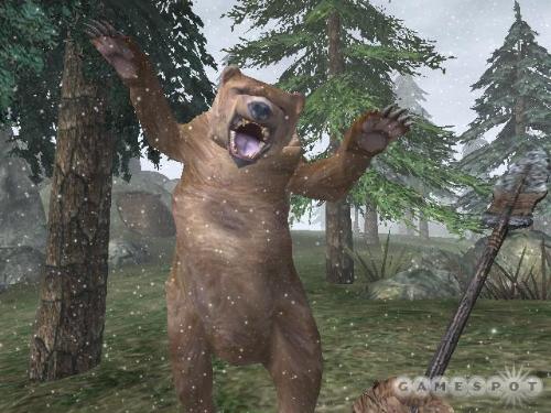 An old bear. - This boy is angry!