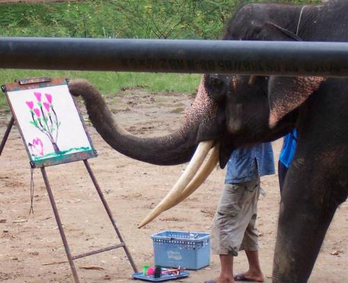 painting  - how about your talent for the painting? there is no doubt the elephant own it