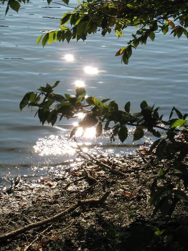 Sparkling Waters - This is one of my favorites. It reminds me of a relaxing day by the lake.