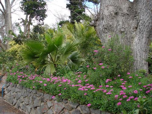 Queens Park - Queens Park in Moonee Ponds Melbourne