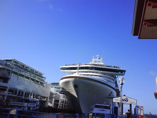 the cruise,auckland - while waiting for jason