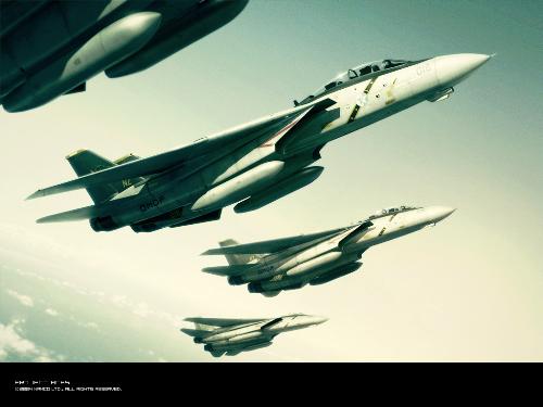 f-14 tomcat, ace combat - the f-14 tomcat, ace combat