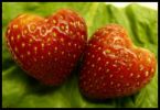 strawberry hearts - hearts,hearts,hearts